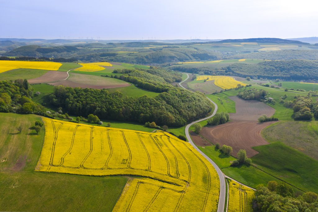 Landschaft der "Alten Welt" bei Meisenheim